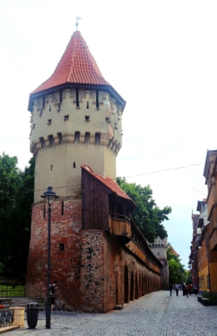 Turnul Dulgherilor Sibiu